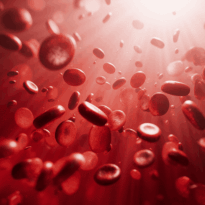 Bloodstream_Render