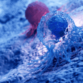 Cell_Render
