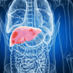 Liver_Anatomy_3D_Render
